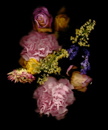 Oscar Parasiego 'Flowers'