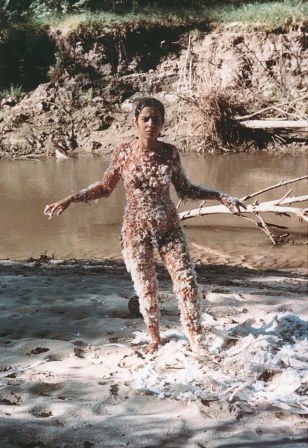 Ana Mendieta, Blood and Feathers #2, 1974