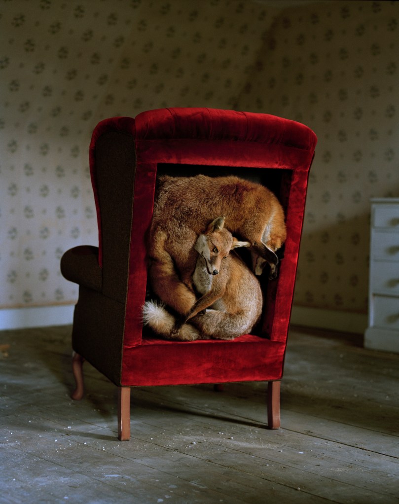 Miss Pokeno, (Allanah Curry), Trophy Chair (2009).